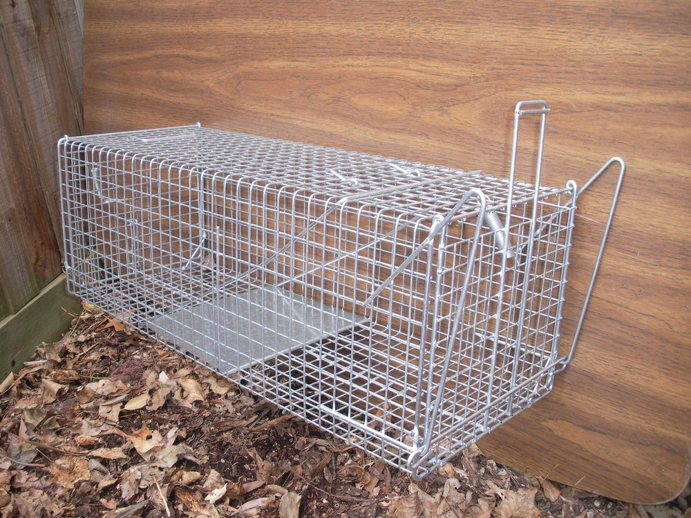 Skunk Cage Traps