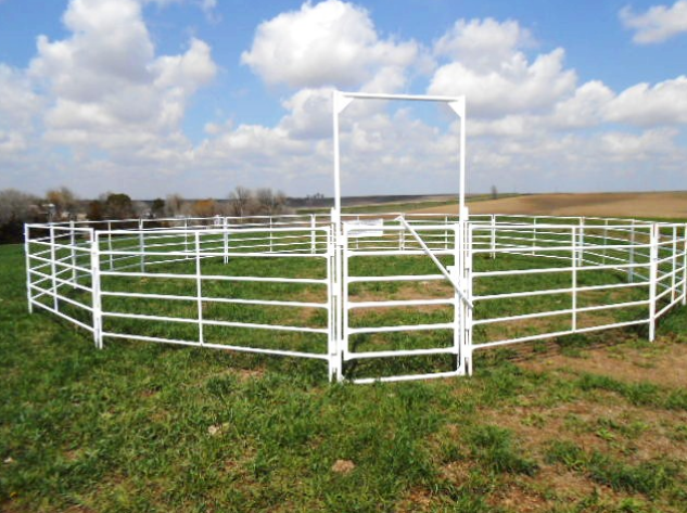 Swing Gates