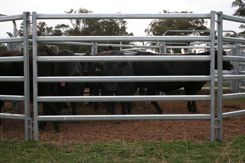 PORTABLE CATTLE YARD