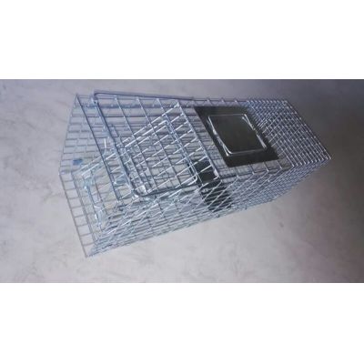 Mouse Cage Traps