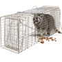 Raccoon Cage Traps