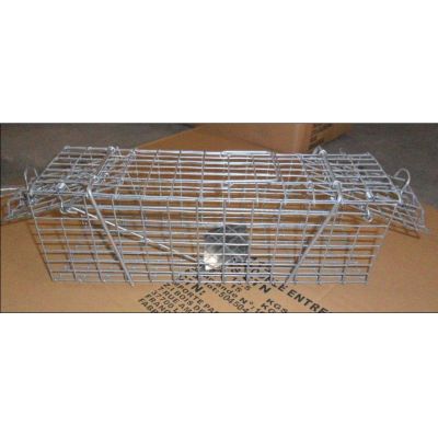 Animal Evictions,Animal Removal,Animal Trapping,Cage Traps,Pest control,wildlife control,wire mesh,wire products