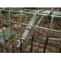 squirrel cage traps