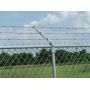 Barbed Wire