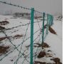 Barbed Wire