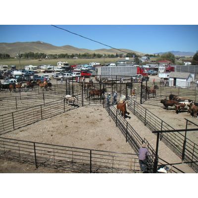 Livestock Fencing