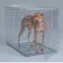 Folding Metal Dog Cage