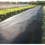 Weed Control Fabric