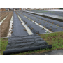 Weed Control Fabric