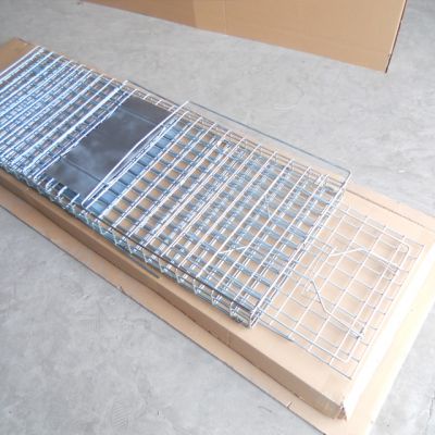 collapsible live animal trap cage