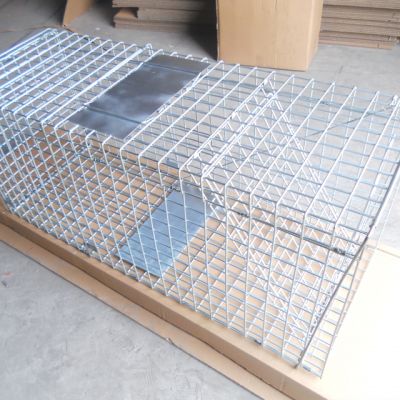 Animal Evictions,Animal Removal,Animal Trapping,Cage Traps,Metal,Pest control,hardware,steel,wildlife control,wire mesh,wire products