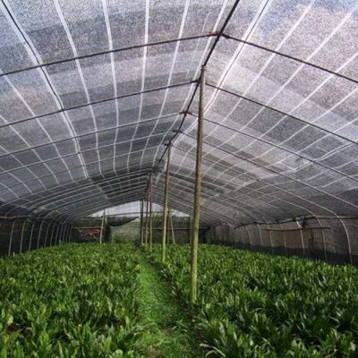 agriculture black sunshade cloth