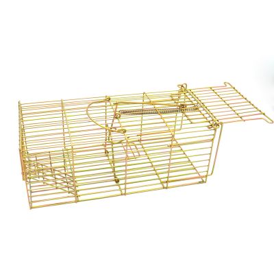 Mouse Cage Trap